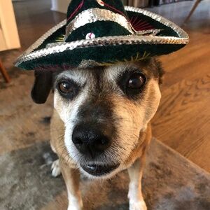 Meet your Posher, Suzette